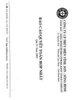 báo cáo quyết toán hợp nhất quý 4 năm 2009 công ty cổ phần thủy điện vĩnh sơn sông hinh