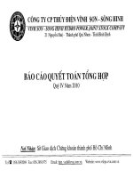 công ty cổ phần thủy điện vĩnh sơn sông hinh báo cáo quyết toán tổng hợp quý 4 năm 2010