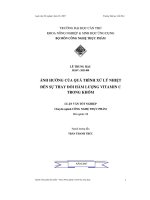 Ảnh hưởng của quá trình xử lý nhiệt đến sự thay đổi hàm lượng vitamin c trong khóm