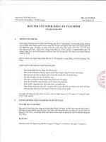 ngân hàng thương mại cổ phiếu đại dương thuyết minh báo cáo tài chính quý 2 năm 2013