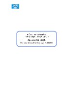 công ty cổ phần thủy điện điện lực 3 báo cáo tài chính cho năm tài chính kết thúc 31 tháng 12 năm 2011
