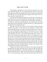 Nghiên cứu sán lá ruột lợn trên địa bàn huyện hương trà, tỉnh thừa thiên huế và kết quả thử nghiệm một số thuốc tẩy trừ