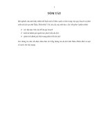 đề tài một số khía cạnh cơ bản trong việc quy hoạch và phát triển du lịch tại tỉnh thừa thiên huế