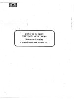 công ty cổ phần thủy điện miền trung báo cáo tài chính cho kỳ kế toán 6 tháng đầu năm 2012