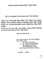Tiếp tục đổi mới mô hình tổ chức và hoạt động của ngân hàng thương mại Việt Nam phục vụ công nghiệp hóa, hiện đại hóa đất nước