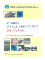 Kỹ thuật sản xuất giống và nuôi ba ba lai