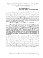 thực trạng và giải pháp xử lý tình trạng rác và lục bình trôi nổi trên các hệ thống kênh rạch tại thành phố  hồ chí minh