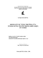 khảo sát sự tăng trưởng của tế bào sừng người trong điều kiện in vitro