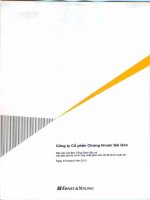 công ty cổ phần chứng khoán sài gòn báo cáo ban tổng giám đốc báo cáo tài chính hợp nhất giữa niên độ đã được soát xét 30 tháng 6 năm 2012