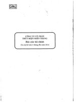 công ty cổ phần thủy điện miền trung báo cáo tài chính cho kỳ kế toán 6 tháng đầu năm 2014