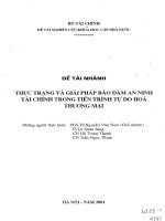 Thực trạng và giải pháp đảm bảo an ninh tài chính trong tiến trình tự do hóa thương mại