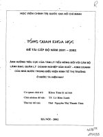 Ảnh hưởng tiêu cực của tâm lý tiểu nông đối với cán bộ lãnh đạo, quản lý doanh nghiệp sản xuất, kinh doanh của nhà nước trong điều kiện kinh tế thị trường ở nước ta hiện nay 2