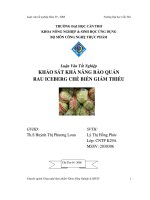 Khảo sát khả năng bảo quản rau iceberg chế biến giảm thiểu