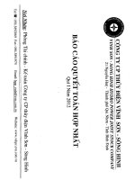 công ty cổ phần thủy điện vĩnh sơn sông hinh báo cáo quyết toán hợp nhất quý 1 năm 2012