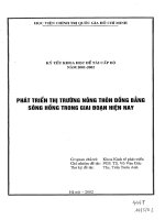 Phát triển thị trường nông thôn đồng bằng sông hồng trong giai đoạn hiện nay