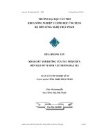 Khảo sát ảnh hưởng của tác nhân rửa đến mật độ vi sinh vật trong rau má