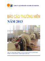 báo cáo thường niên 2013 công ty cổ phần đầu tư điện tây nguyên