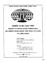 Chiến lược tạo vốn trong và ngoài nước thông qua hệ thống ngân hàng việt nam lý luận và thực tiễn