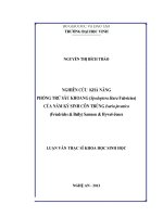 Nghiên cứu khả năng phòng trừ sâu khoang (spodoptera litura fabricius) của nấm ký sinh côn trùng isaria javanica (friedrichs  bally) samson  hywel jones