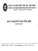 công ty cổ phần thủy điện vĩnh sơn sông hinh báo cáo quyết toán tổng hợp quý 3 năm 2010