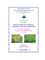 Khảo sát khả năng trích ly catechin từ trà bằng methanol