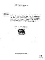 Hệ thống rào cản kỹ thuật trong thương mại Quốc Tế và những giải pháp để vượt rào cản kỹ thuật của các doanh nghiệp ở Việt Nam