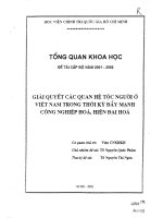 Giải quyết các quan hệ tộc người ở Việt Nam trong thời kỳ đẩy mạnh công nghiệp hóa, hiện đại hóa