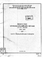 Vỏ phong hóa miền Bắc Việt Nam tỷ lệ 1 500.000 (tập 2)