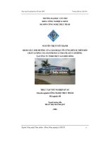 Khảo sát ảnh hưởng của giai đoạn tê cứng đến sự biến đổi chất lượng của sản phẩm cá tra fillet cấp đông