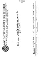 công ty cổ phần thủy điện vĩnh sơn sông hinh báo cáo quyết toán hợp nhất quý 2 năm 2012