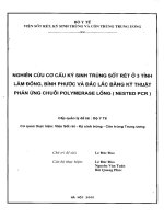 Nghiên cứu cớ cấu ký sinh trùng sốt rét ở 3 tỉnh Lâm Đồng, Bình Phước và Đắc Lắc bằng kỹ thuật phản ứng chuỗi polymerase lồng (nested pcr)