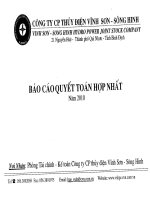 công ty cổ phần thủy điện vĩnh sơn sông hinh báo cáo quyết toán hợp nhất năm 2010