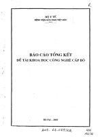 Nghiên cứu ứng dụng máy tán sỏi ngoài cơ thể Modulith SLX để điều trị sỏi thận và sỏi niệu quản tại bệnh viện Việt Đức