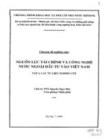 Nguồn lực tài chính và công nghệ nước ngoài đầu tư vào Việt Nam (tập 2)