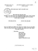 Nghiên cứu đề xuất các giải pháp khoa học, công nghệ phục vụ xây dựng hệ thống đê biển, đê cửa Sông ngăn mặn Nam Bộ