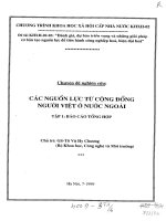 Các nguồn lực từ cộng đồng người Việt ở nước Ngoài