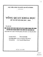 Một số giải pháp hoàn thiện thể chế tài chính trong tiến trình cổ phần hóa doanh nghiệp nhà nước Việt Nam hiện nay