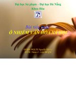 tiểu luận ô nhiễm văn hóa xã hội