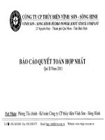 công ty cổ phần thủy điện vĩnh sơn sông hinh báo cáo quyết toán hợp nhất quý 2 năm 2011