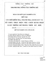 Cơ chế kiểm tra, thanh tra, giám sát và tổ chức thực hiện việc chấp hành pháp luật thống kê trong thời kỳ đổi mới