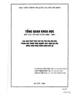 Các giải pháp phát huy vai trò của văn hóa trong quá trình công nghiệp hóa, hiện đại hóa nông thồn vùng đồng bằng Bắc Bộ