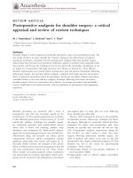 Postoperative analgesia for shoulder surgery  a critical appraisal and review of current techniques
