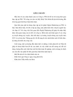 tìm hiểu thực trạng và giải pháp xây dựng kênh truyền thông trực tuyến của thương hiệu pnj