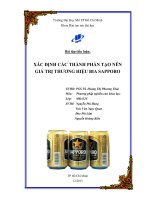 xác định các thành phần tạo nên giá trị thương hiệu bia sapporo