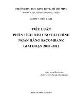 phân tích báo cáo tài chính ngân hàng sacombank giai đoạn 2008 - 2012