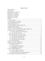 Nghiên cứu chất lượng học tập của học sinh lớp 1, 2, 3 vùng dân tộc thiểu số theo chương trình tiểu học