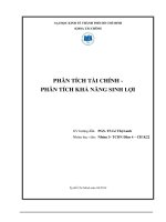 phân tích tài chính phân tích khả năng sinh lợi