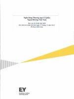 ngân hàng thương mại cổ phần ngoại thương việt nam báo cáo tài chính hợp nhất cho năm tài chính kết thúc 31 tháng 12 năm 2013 đã được kiểm toán