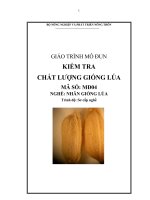 giáo trình mô đun, kiểm tra chất lượng giống lúa