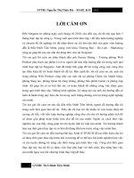 đo lường hiệu quả chiến dịch truyền thông trực tuyến ra mắt phiên bản mới của sản phẩm mạng xã hội livevn của công ty netgame asia